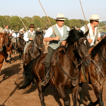 Die Maremma Cowboys