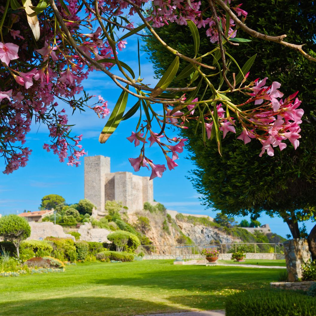 Fortezze e castelli della Maremma