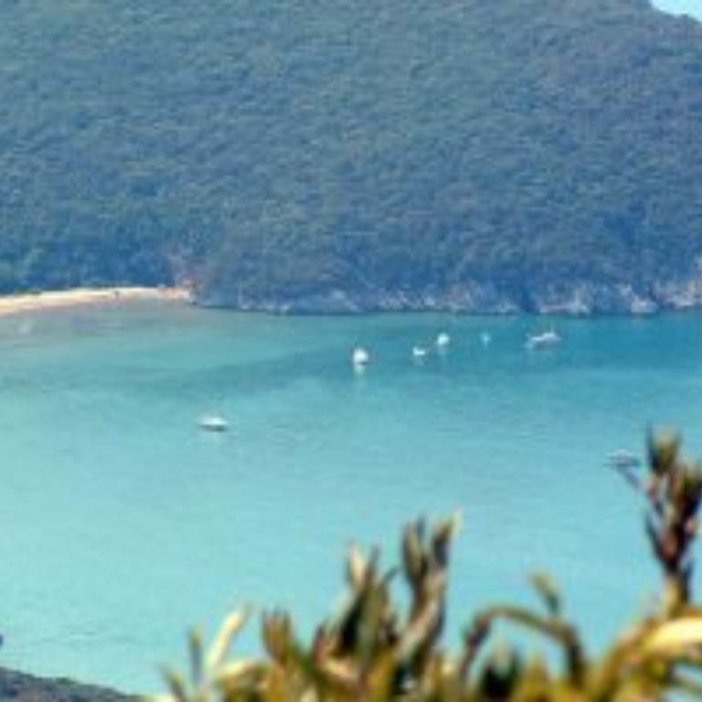 La spiaggia di Cala di Forno